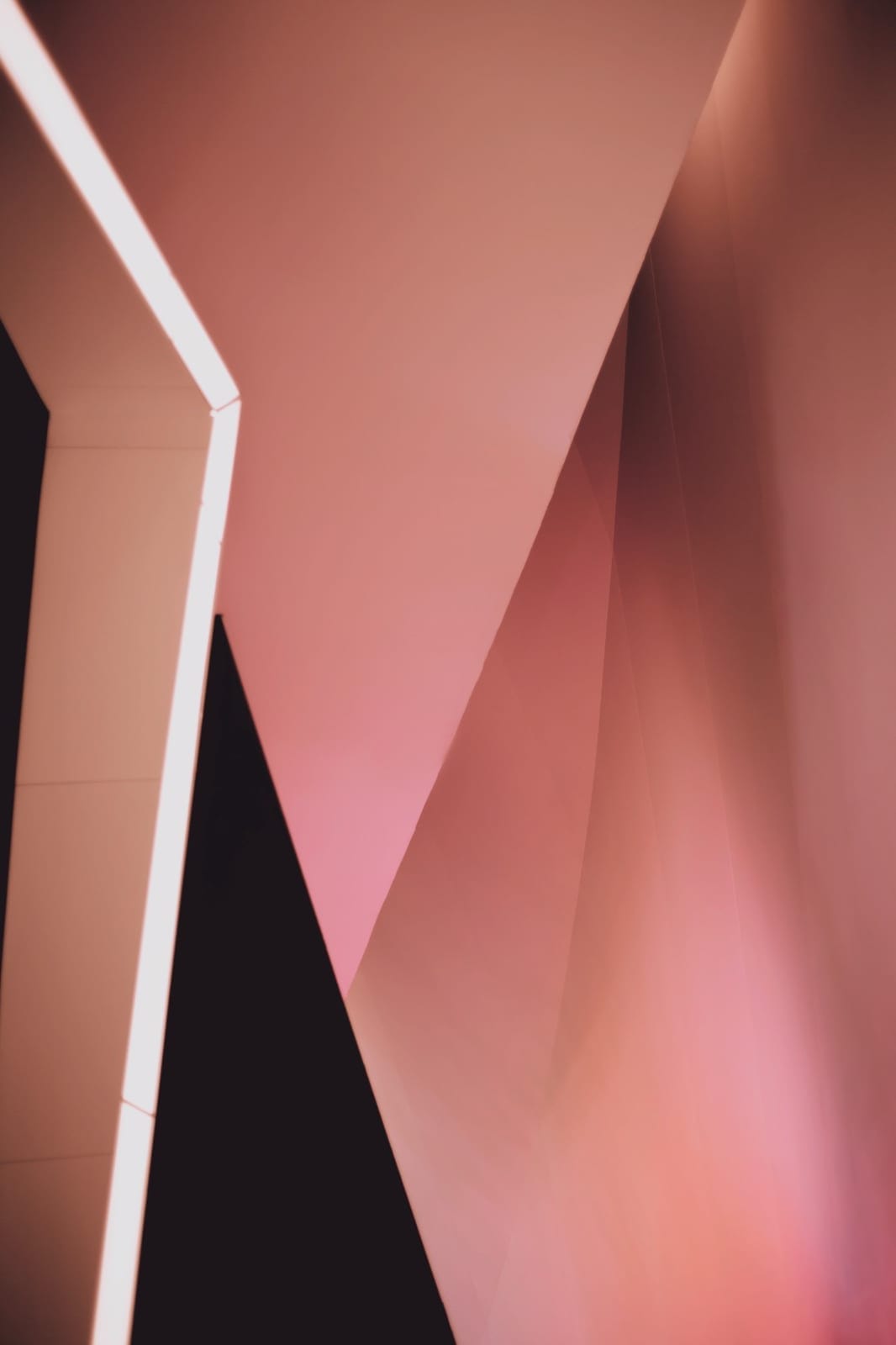 In between walls, de Aline Loura